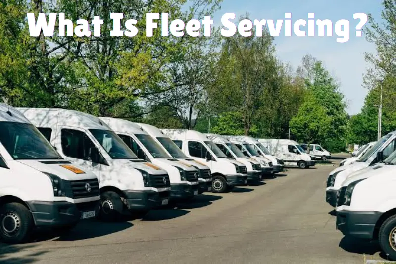 fleet servicing levin