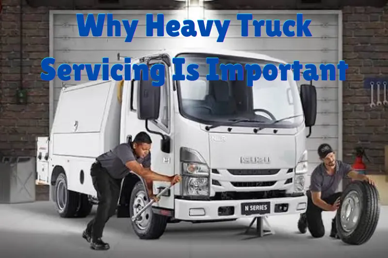 heavy truck servicing levin