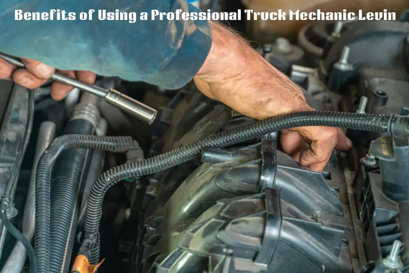 benefits of using a professional truck mechanic levin