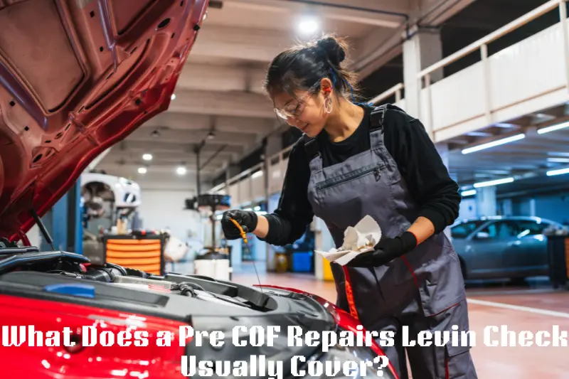 what does a pre cof repairs levin check usually cover?