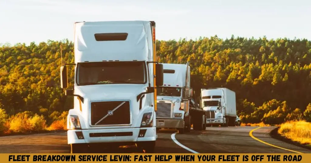 Fleet Breakdown Service Levin: Fast Help When Your Fleet Is Off the Road fleet breakdown service levin fast help when your fleet is off the road
