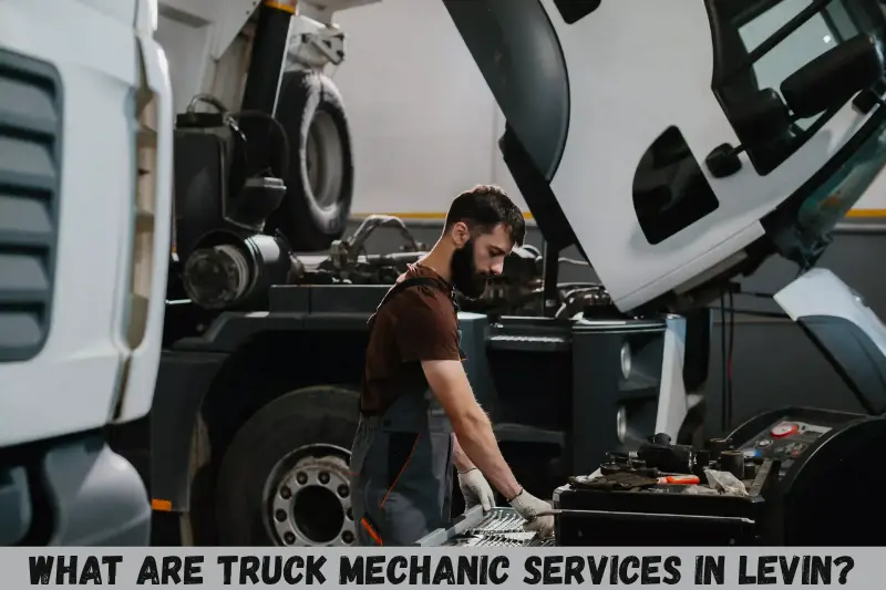 what are truck mechanic services in levin